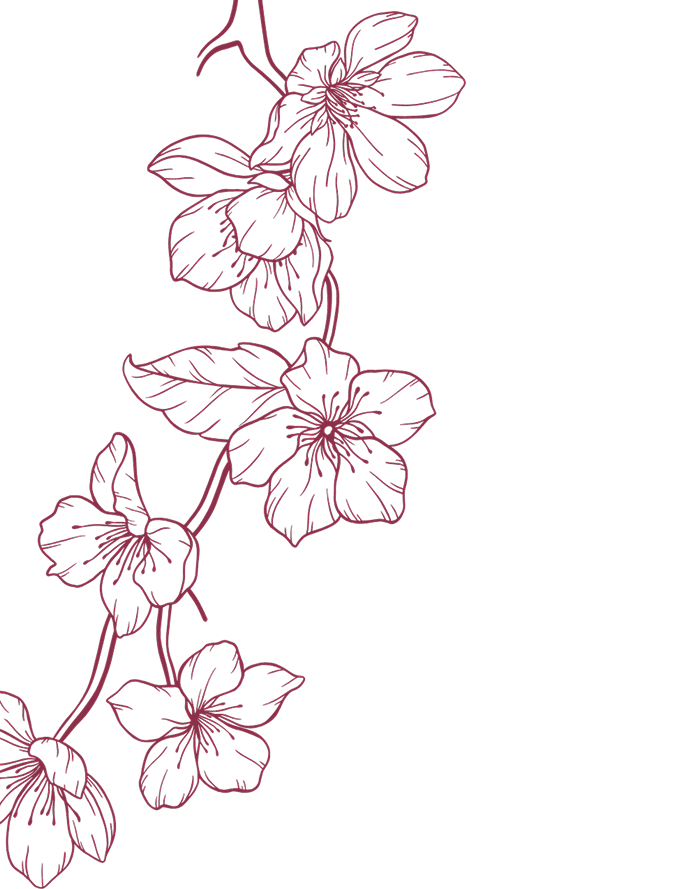 Sakura